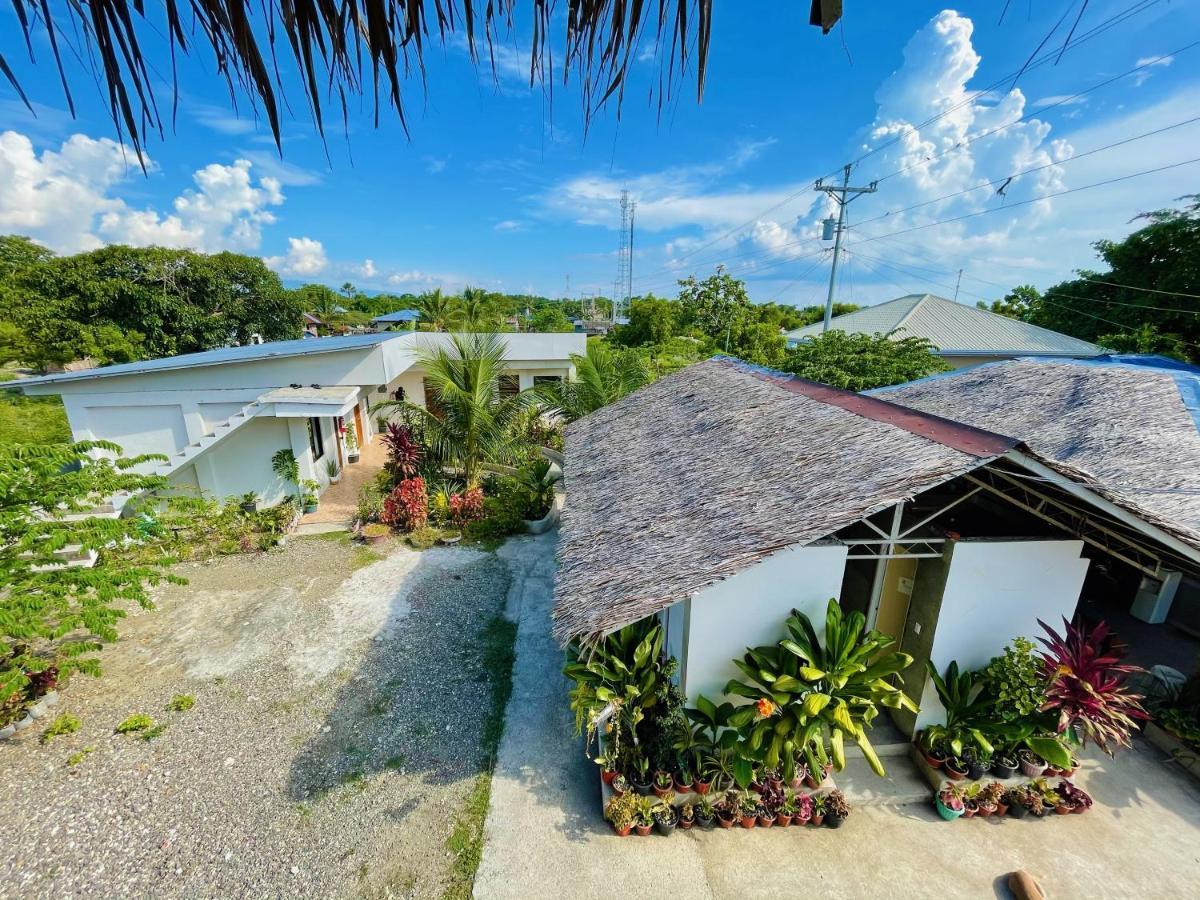 Ananas Guesthouse Moalboal Bagian luar foto