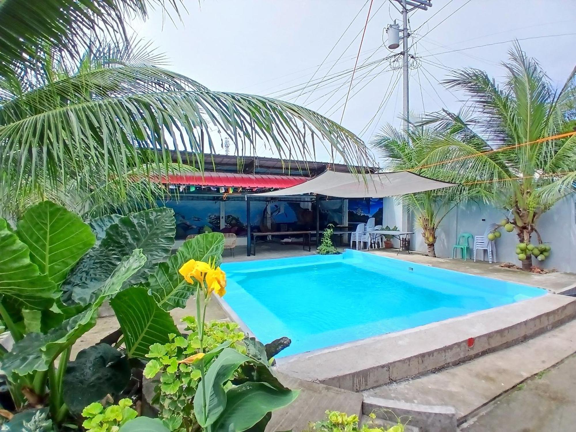 Ananas Guesthouse Moalboal Bagian luar foto