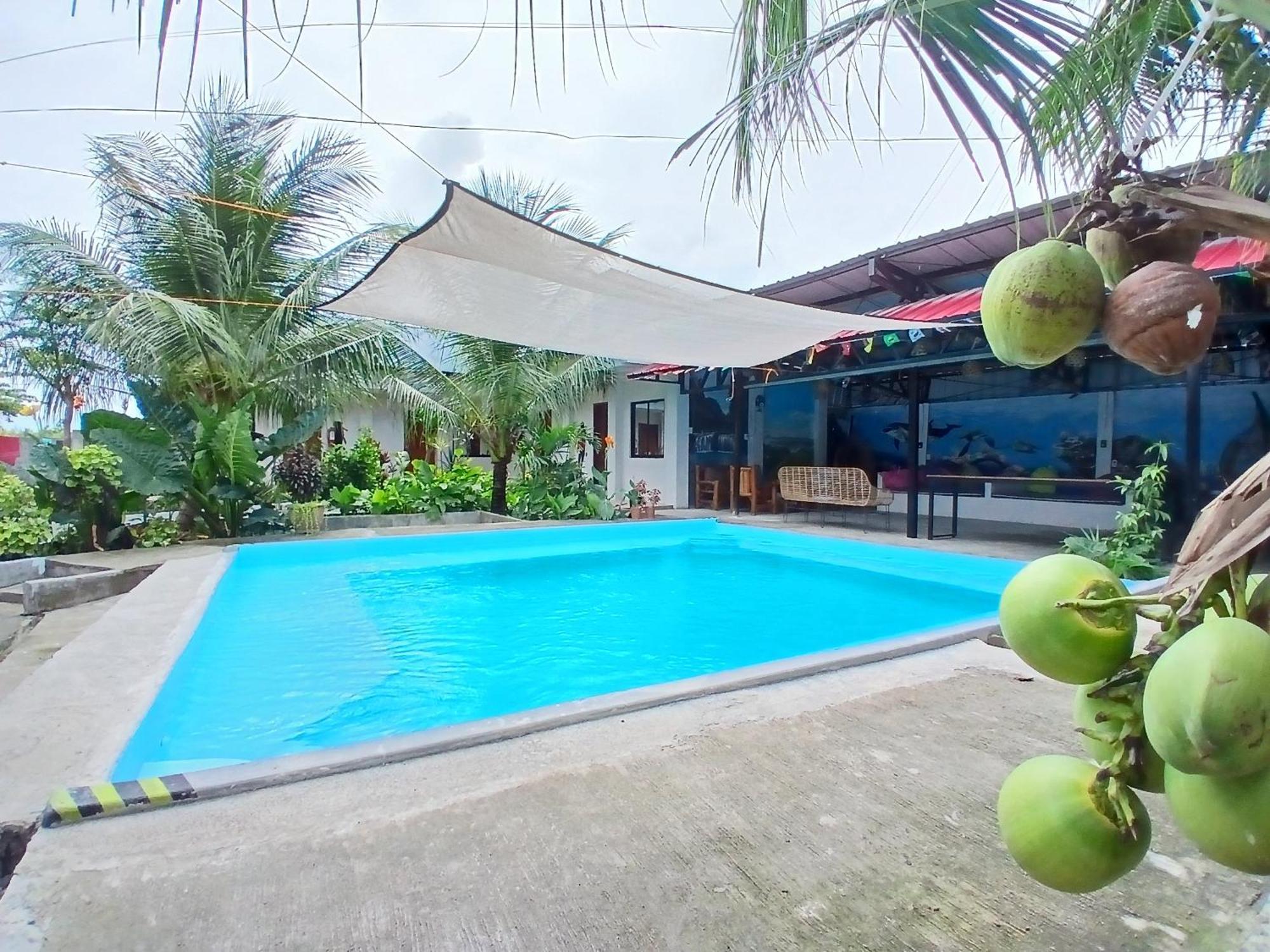 Ananas Guesthouse Moalboal Bagian luar foto
