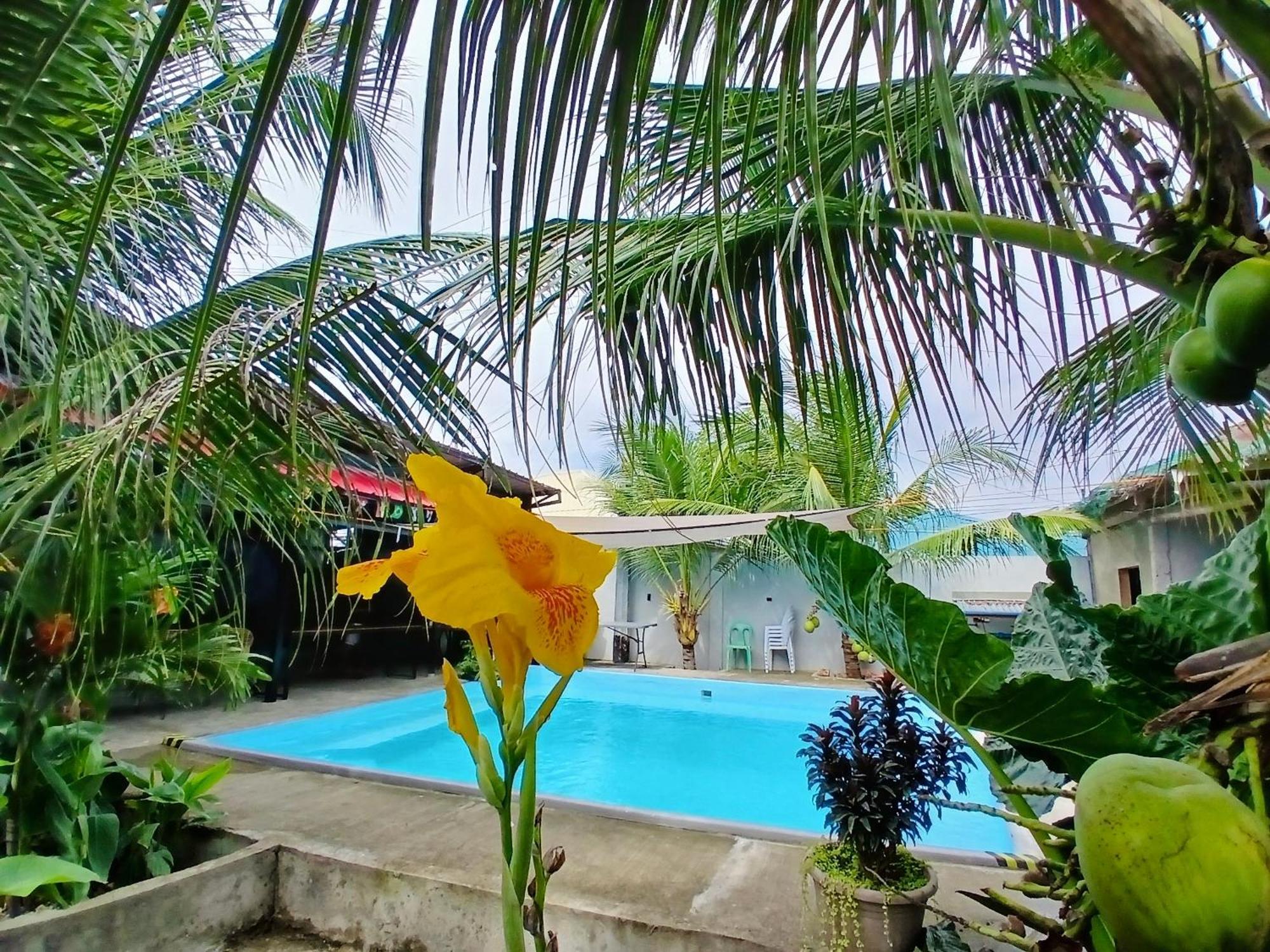 Ananas Guesthouse Moalboal Bagian luar foto