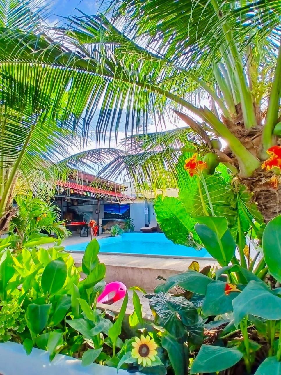 Ananas Guesthouse Moalboal Bagian luar foto
