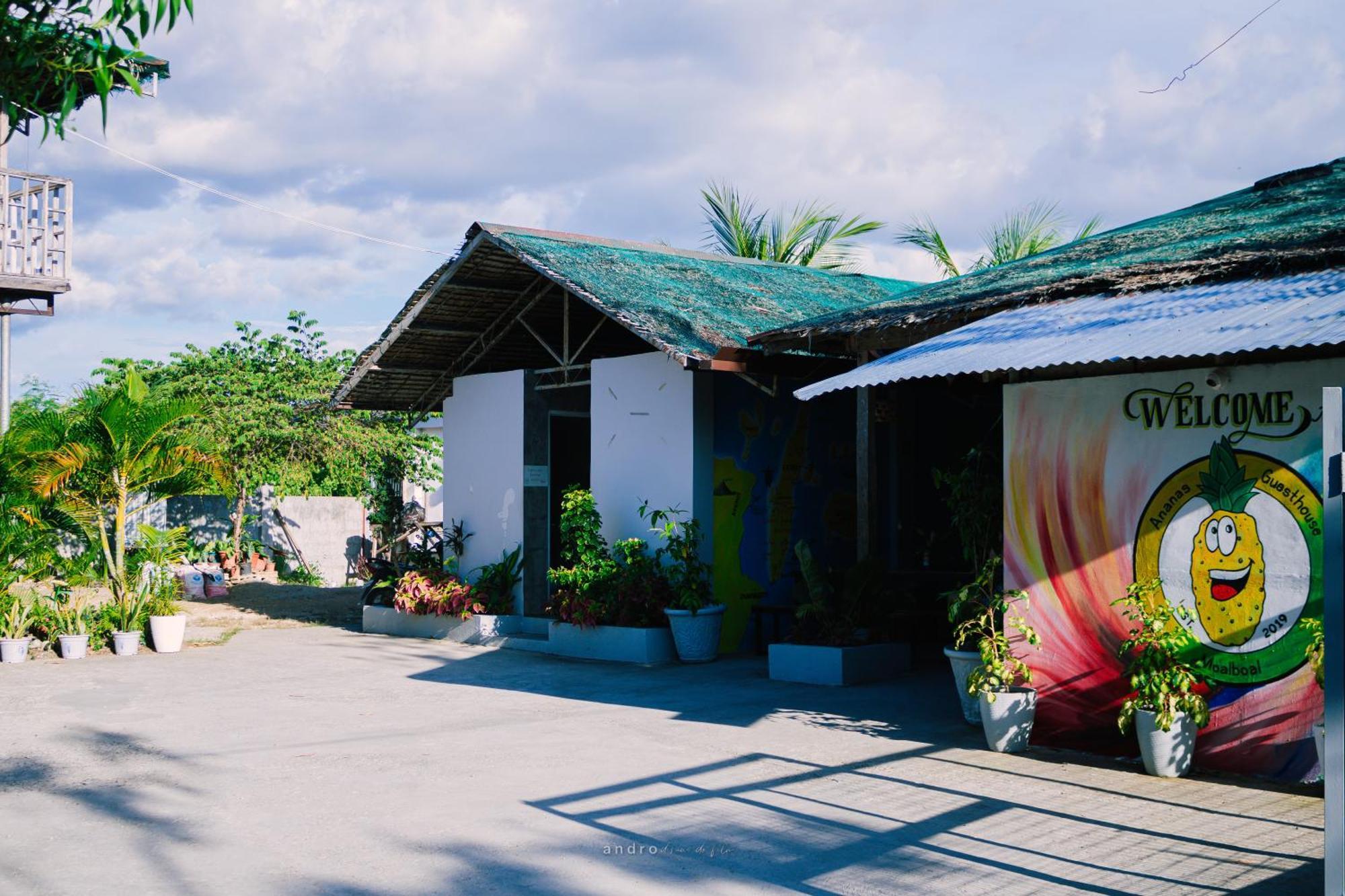 Ananas Guesthouse Moalboal Bagian luar foto