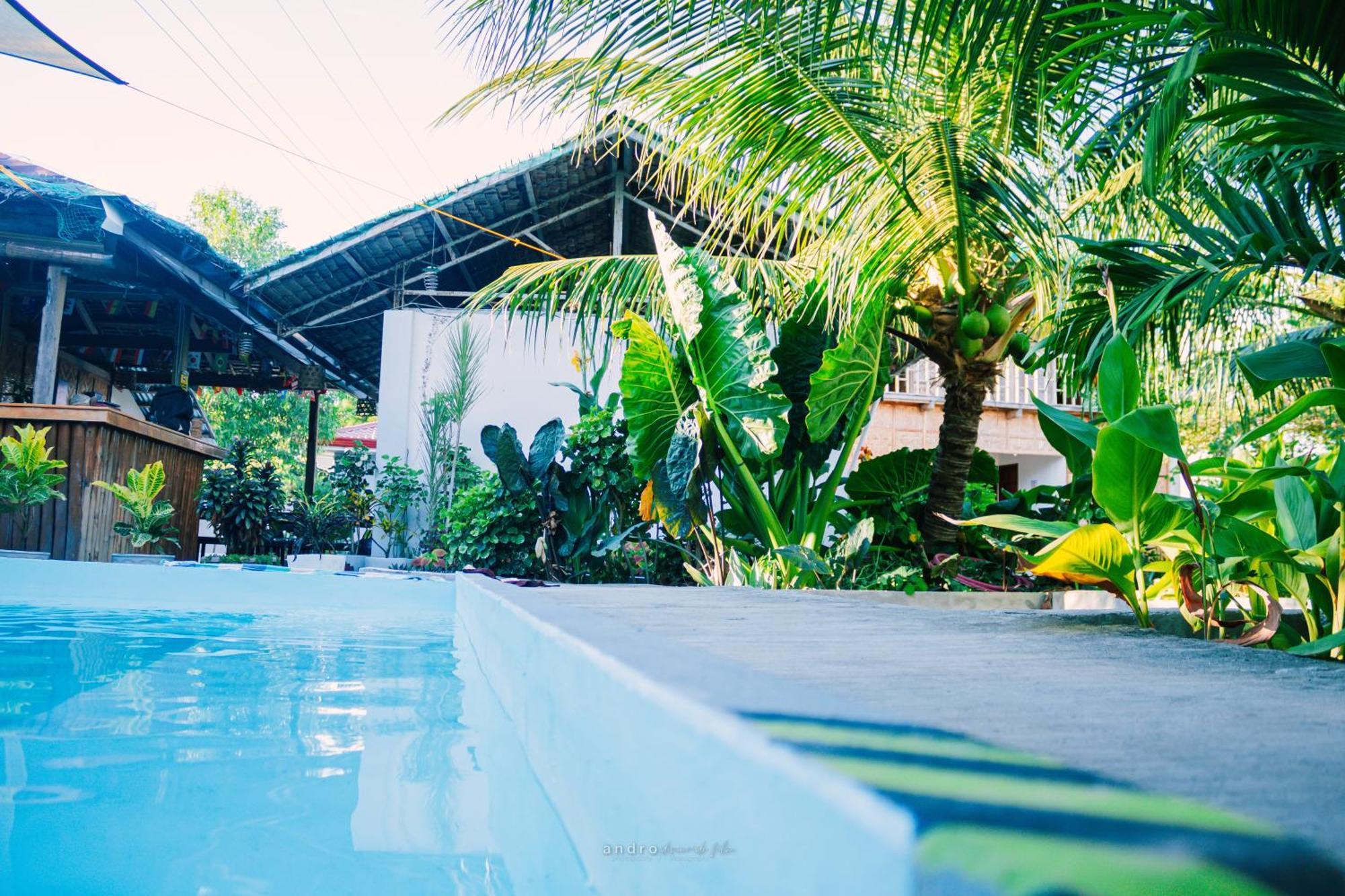 Ananas Guesthouse Moalboal Bagian luar foto
